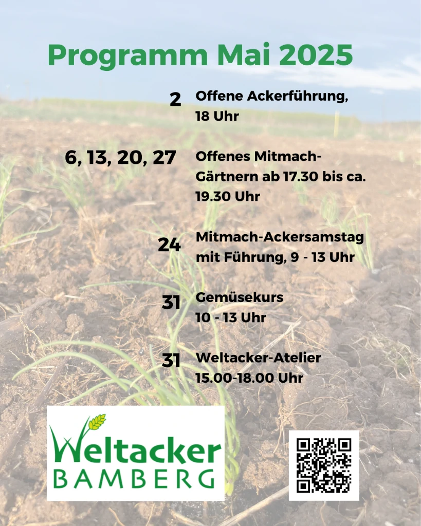 signal-2025-05-12-09-43-24-866